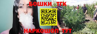 индика Будённовск